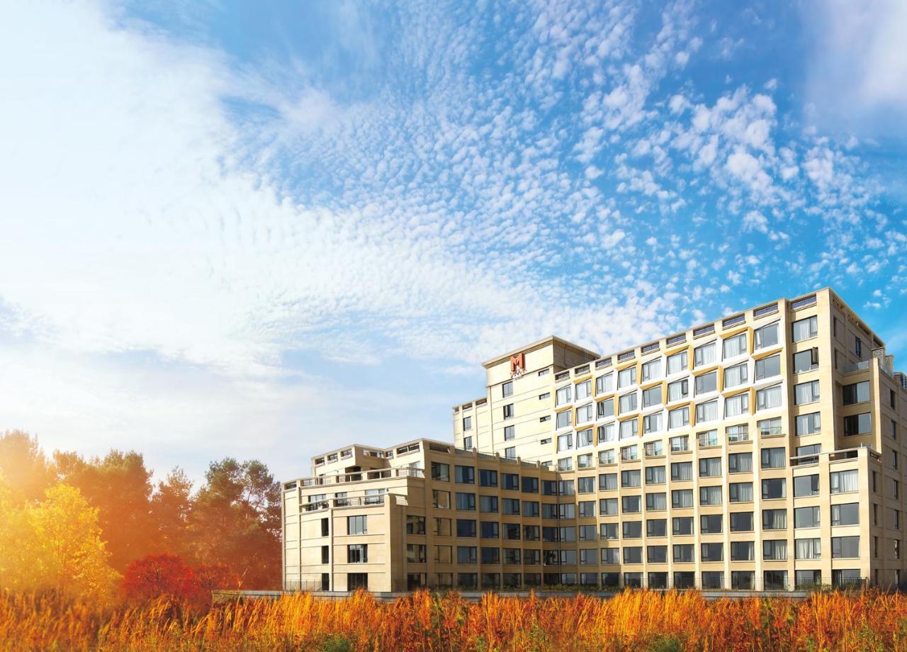 Mstay Hotel Seogwipo Exterior photo