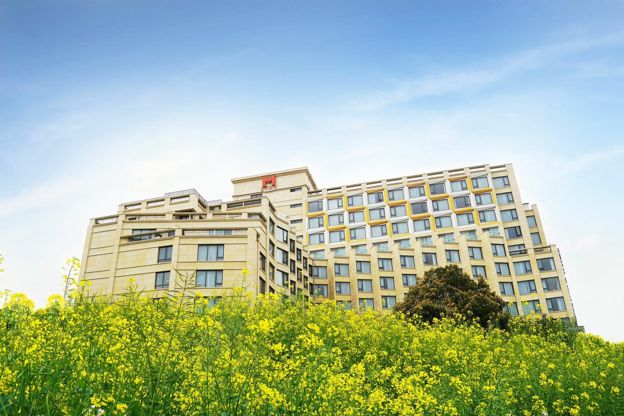 Mstay Hotel Seogwipo Exterior photo